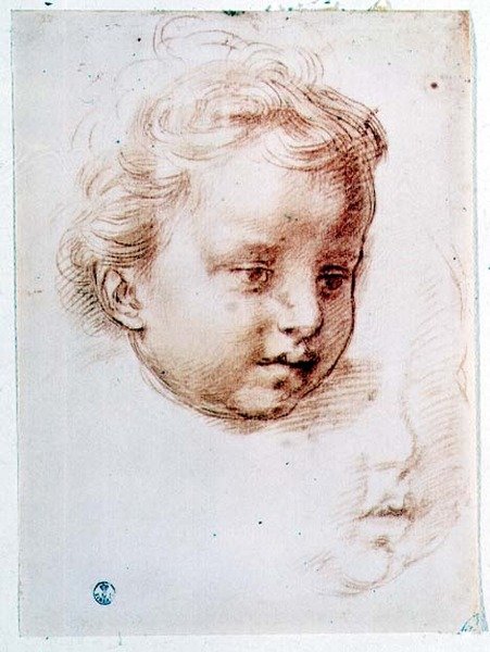 Studie dětské hlavy (křída na papíře) od Andrea del Sarto