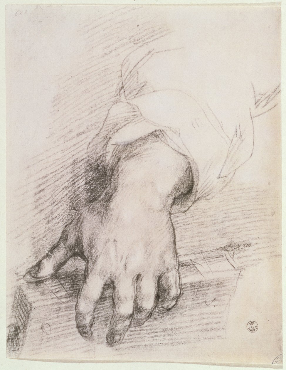 Studie ruky pro Madonu s harfou (křída na papíře) od Andrea del Sarto