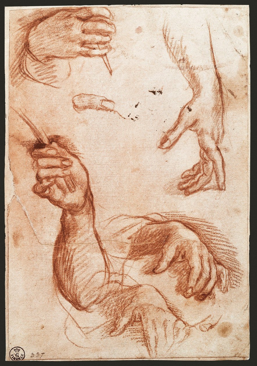 „Studie rukou“ kreslení uhlem (uhlem) od Andrea del Sarto
