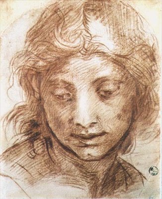 Studie hlavy mladé ženy (křída) od Andrea del Sarto