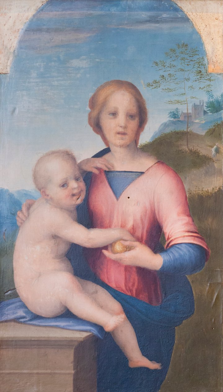 Panna a dítě (olej na dřevě) od Andrea del Sarto