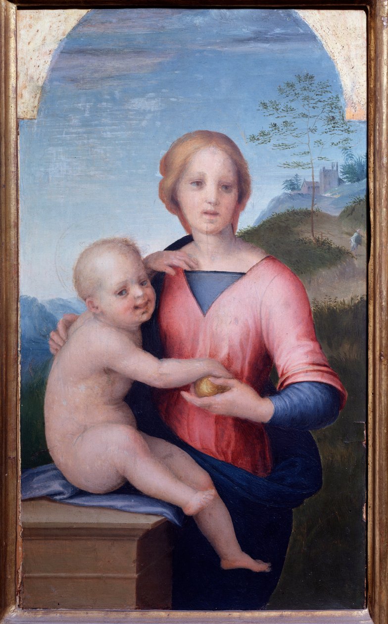 Panna s dítětem (Malba od Andrea del Sarto