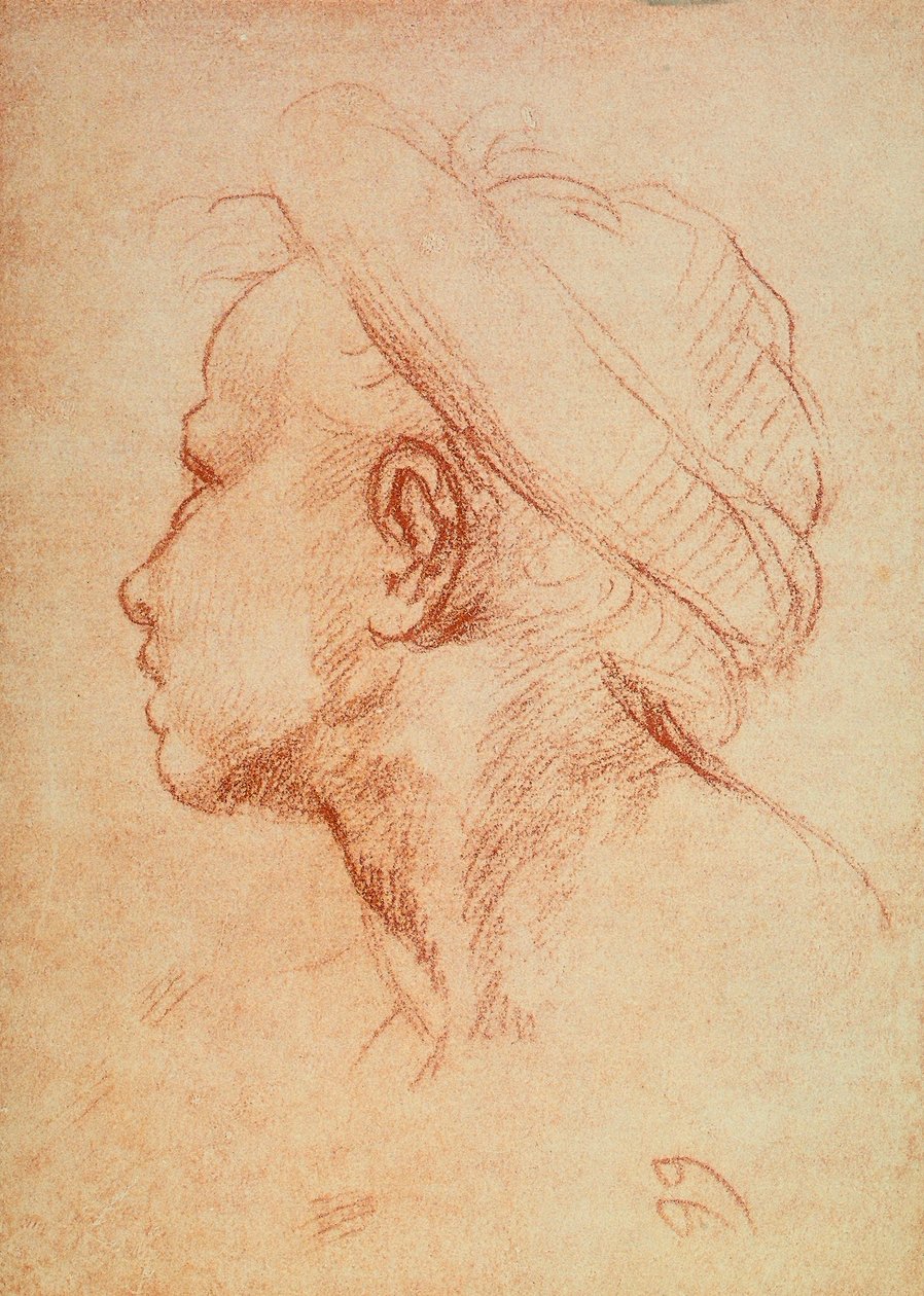 Hlava mládeže z profilu od Andrea del Sarto