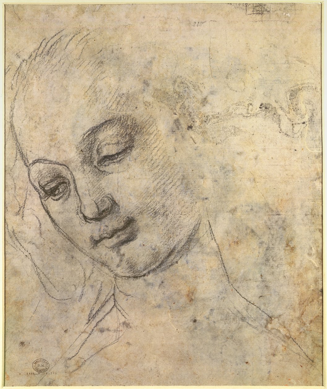 Portrét ženské hlavy (černá křída na papíře) od Andrea del Verrocchio