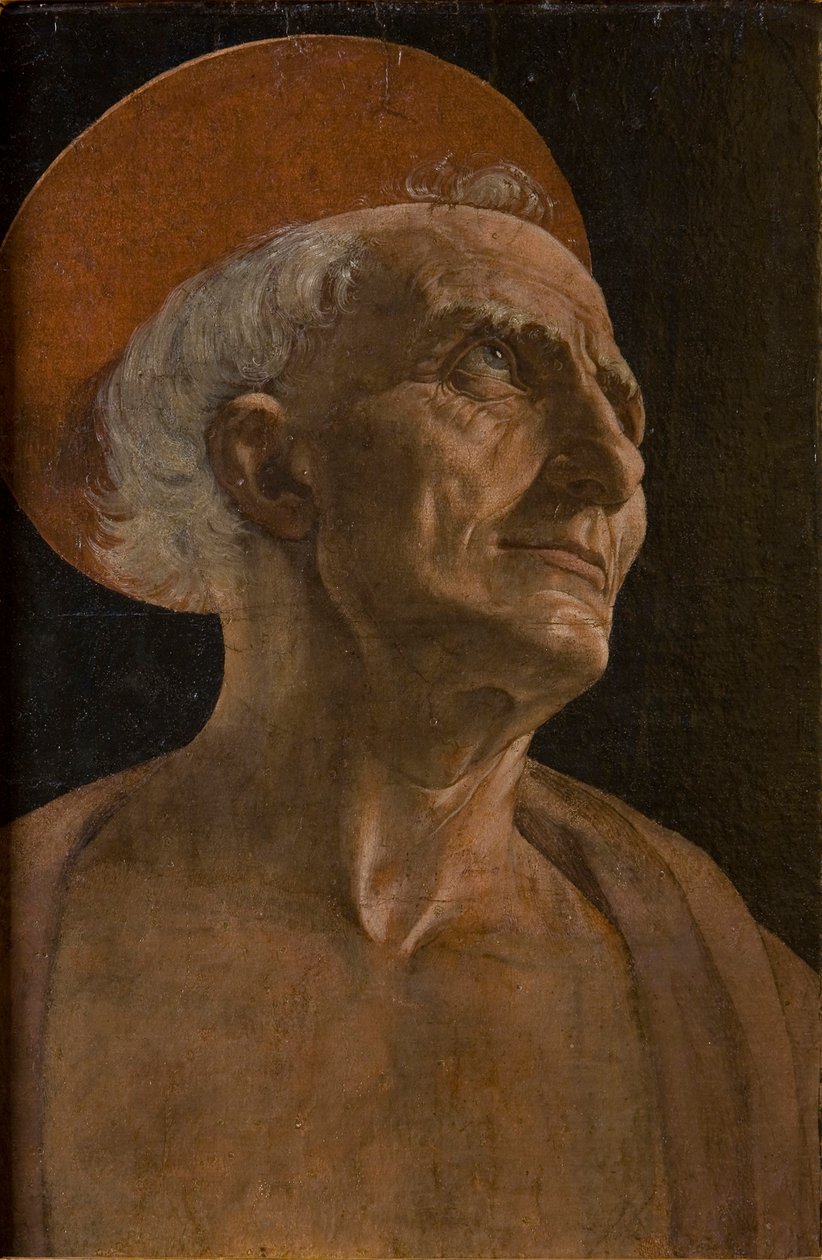 Svatý Jeroným, c. 1467-1469. od Andrea del Verrocchio