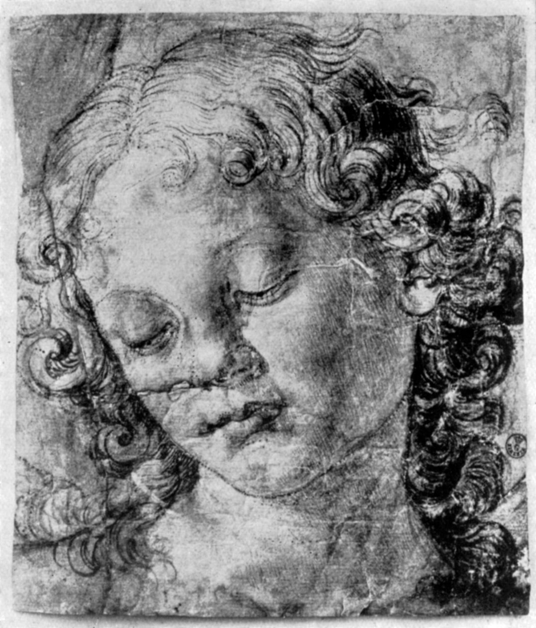 Hlava anděla, 15. století 1930. od Andrea del Verrocchio