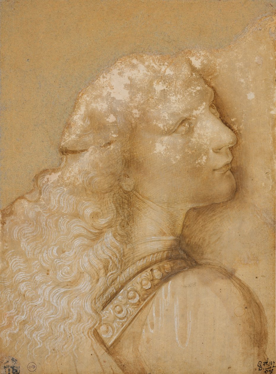 Busta mladého muže, studie pro anděla „Křest Krista“ z Verrocchio, c. 1475 (kovový hrot, okrový akvarel a bílý inkoust na připraveném papíře světlý okr) od Andrea del Verrocchio