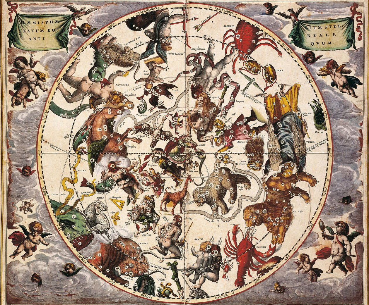 Cellarius, Andreas (1596-1665). Nebeský atlas nebo makrokosmická harmonie. 1661. Fol 24. Starověká hvězdná polokoule boreál. Zastoupení severní polokoule. Vytištěno v Amsterdamu Johannesem Janssoniusem. Raný novověk Rytina. ŠPANĚLSKO C od Andreas Cellarius