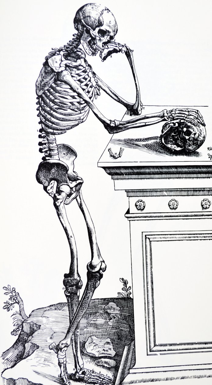 Lidská kostra s lebkou v ruce. Z "De Humani Corporis Fabrica" ​​od Vesalius. Možný řezač dřeva: Jan von Calcar od Andreas Vesalius