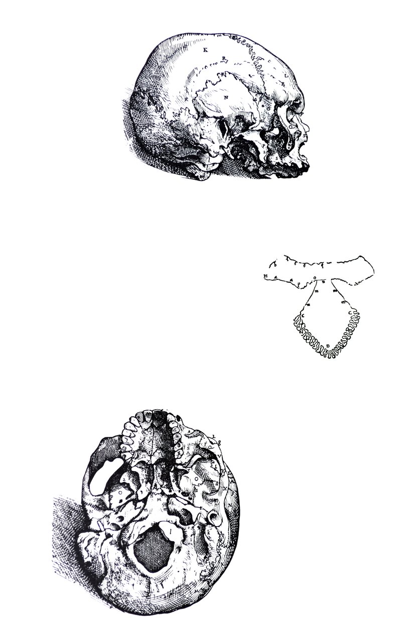 Desky z první knihy De Humani Corporis Fabrica od Andreas Vesalius