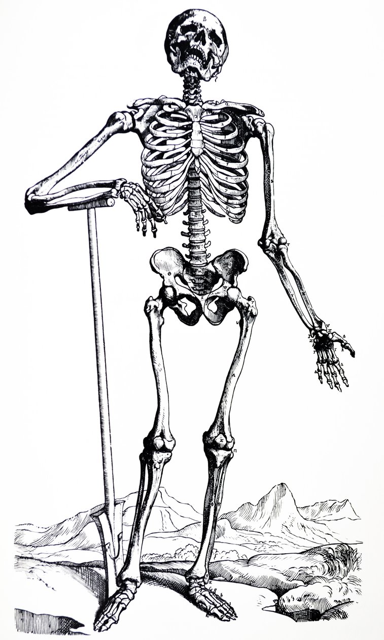 Desky z první knihy De Humani Corporis Fabrica od Andreas Vesalius