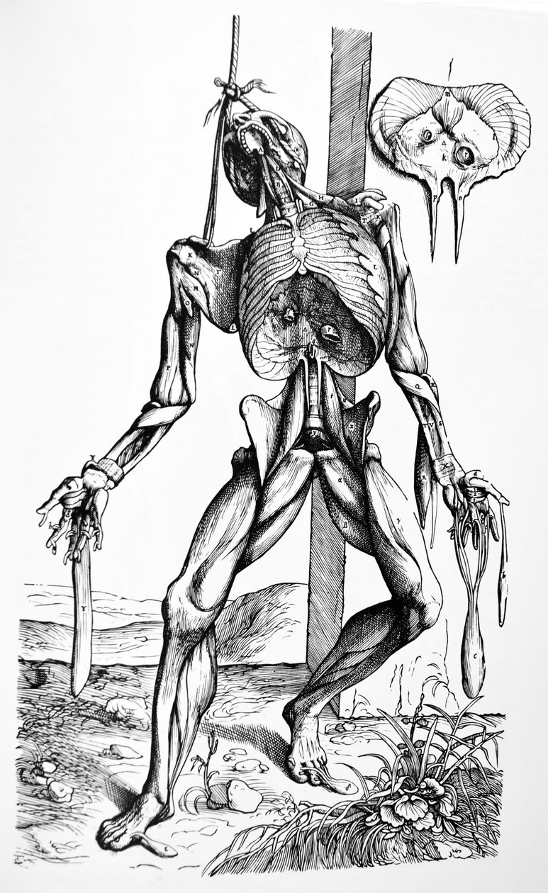 Desky z druhé knihy De Humani Corporis Fabrica od Andreas Vesalius