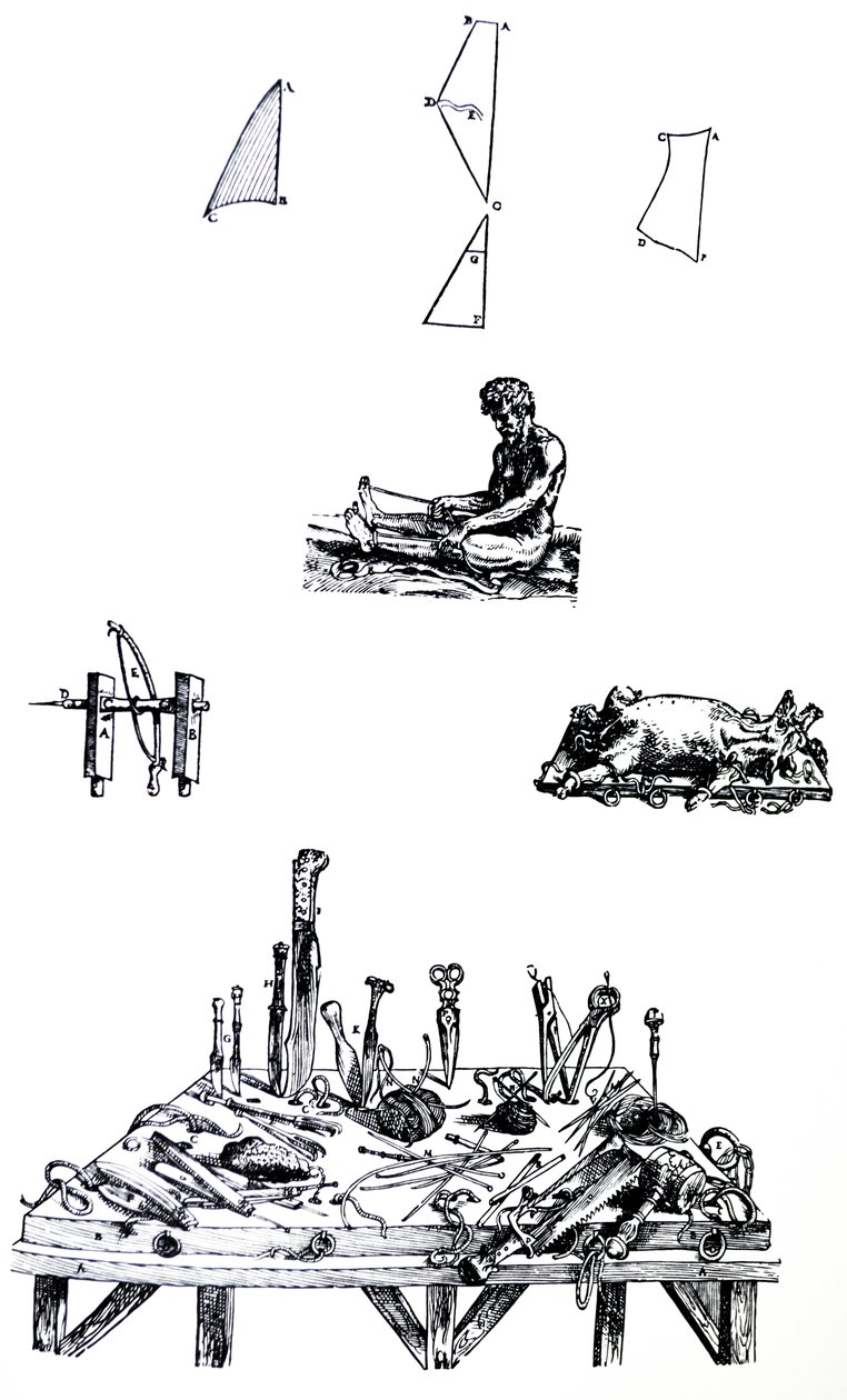 Desky z druhé knihy De Humani Corporis Fabrica od Andreas Vesalius