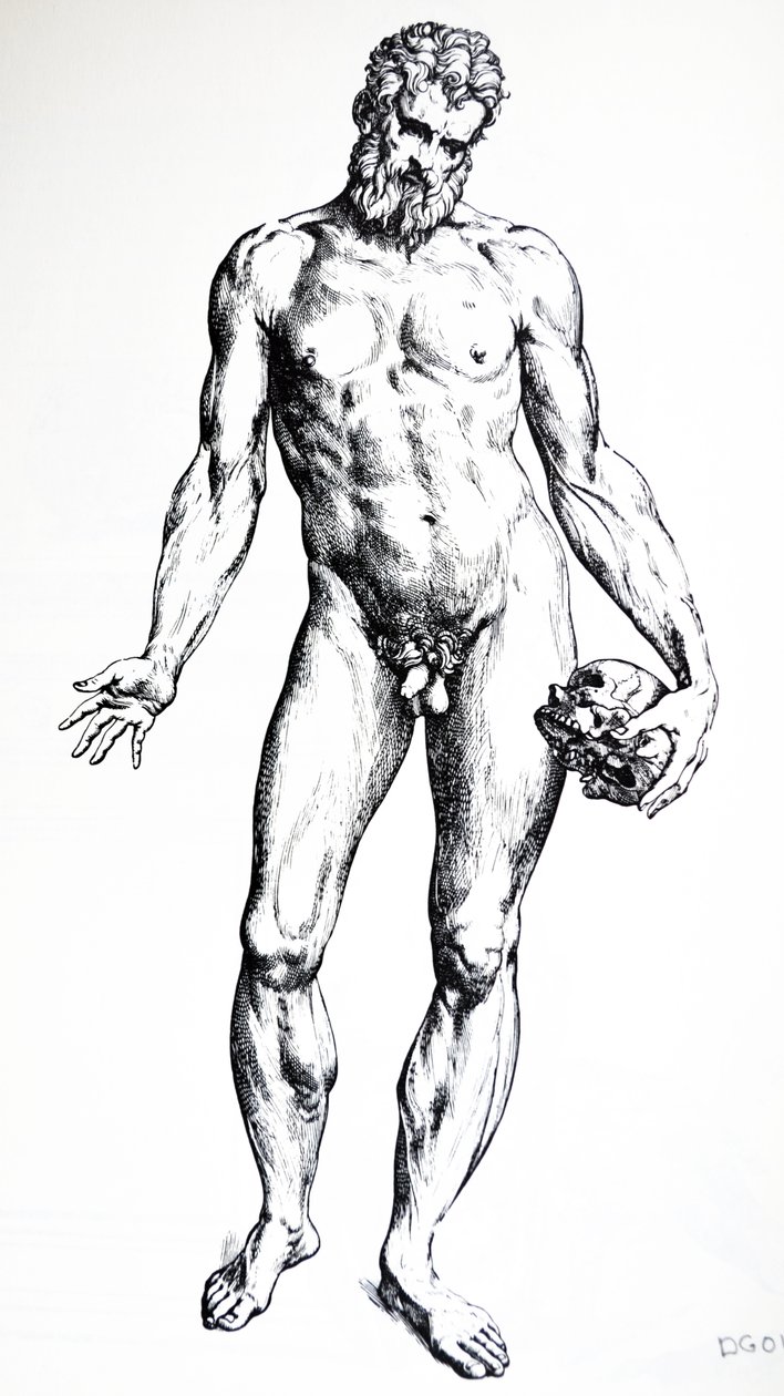 Desky ze sedmé knihy De Humani Corporis Fabrica od Andreas Vesalius