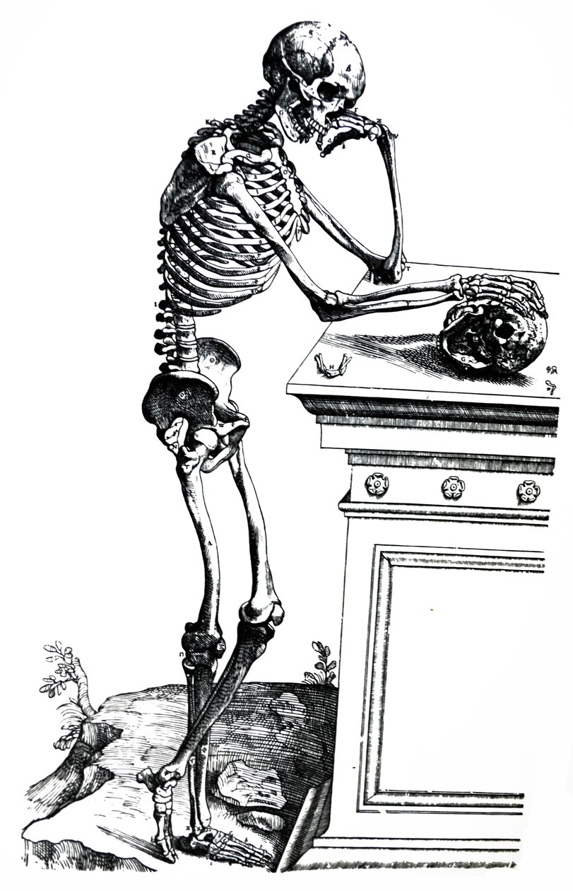 Desky ze sedmé knihy De Humani Corporis Fabrica od Andreas Vesalius