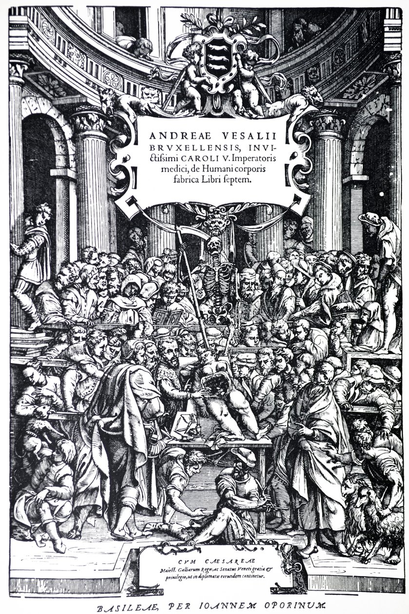 Titulní strana k druhému vydání De Humani Corporis Fabrica, deska 3, 1555 od Andreas Vesalius