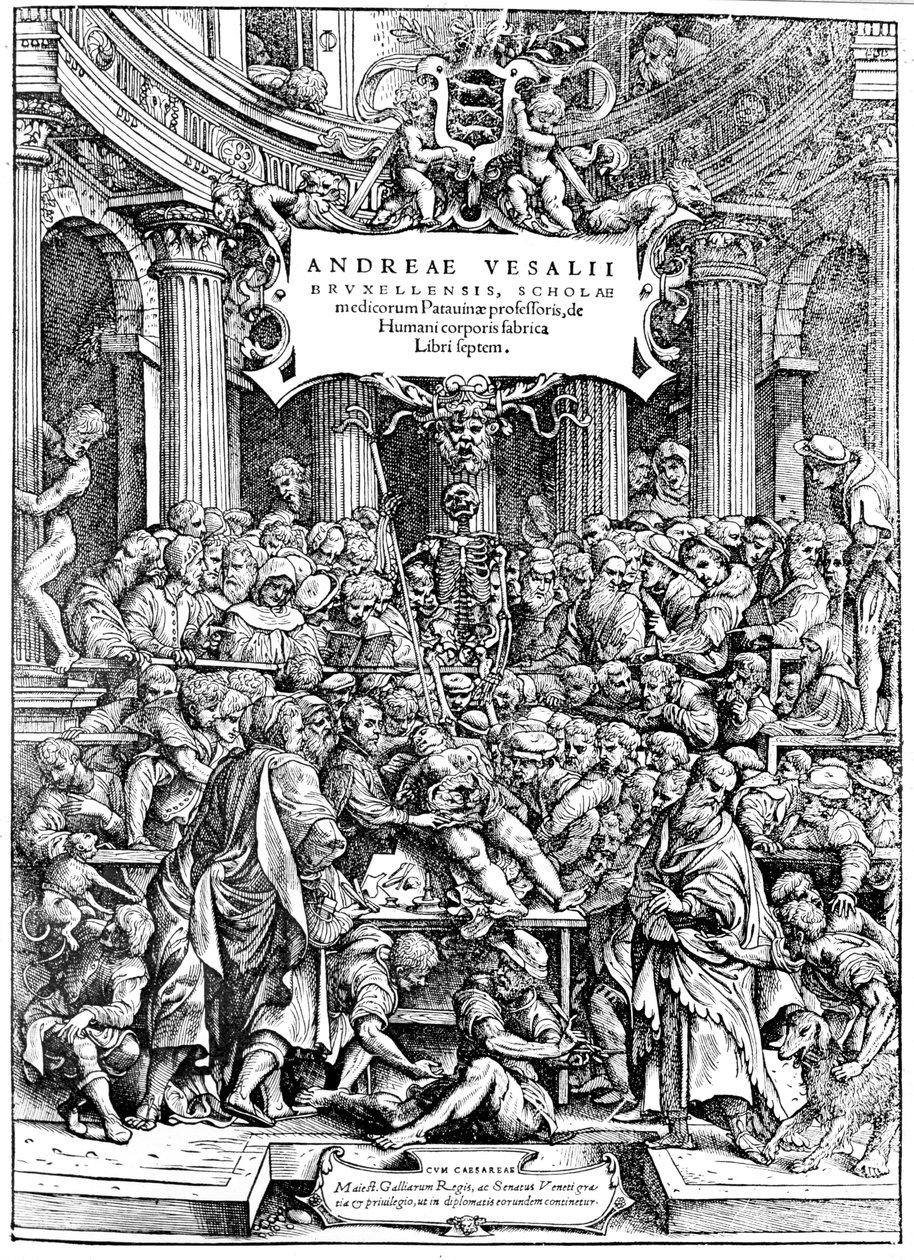 Titulní strana Andreas Lovejoy