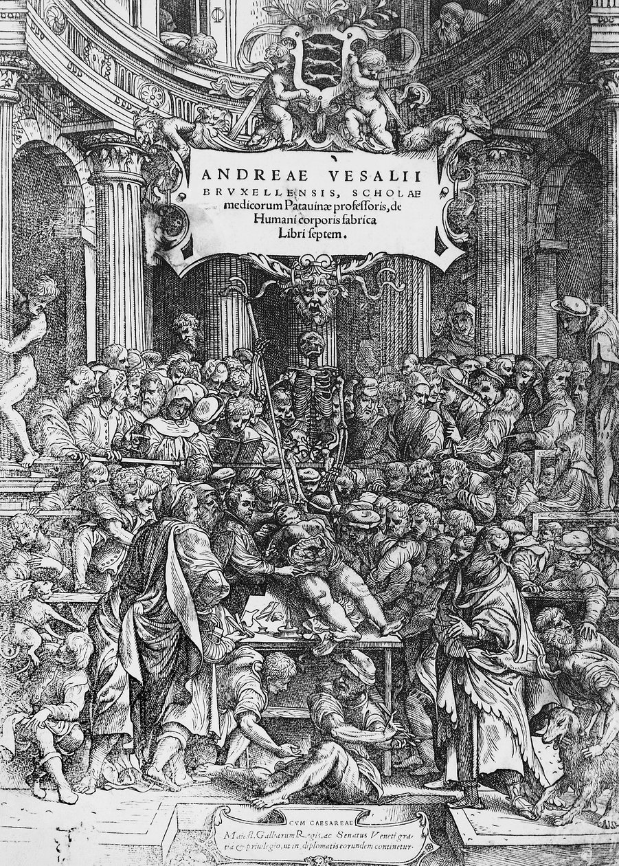 Titulní strana De humani corporis fabrica (latinsky Na tkanině lidského těla), kde je zobrazen Andreas Vesalius, jak pitvá mrtvolu od Andreas Vesalius