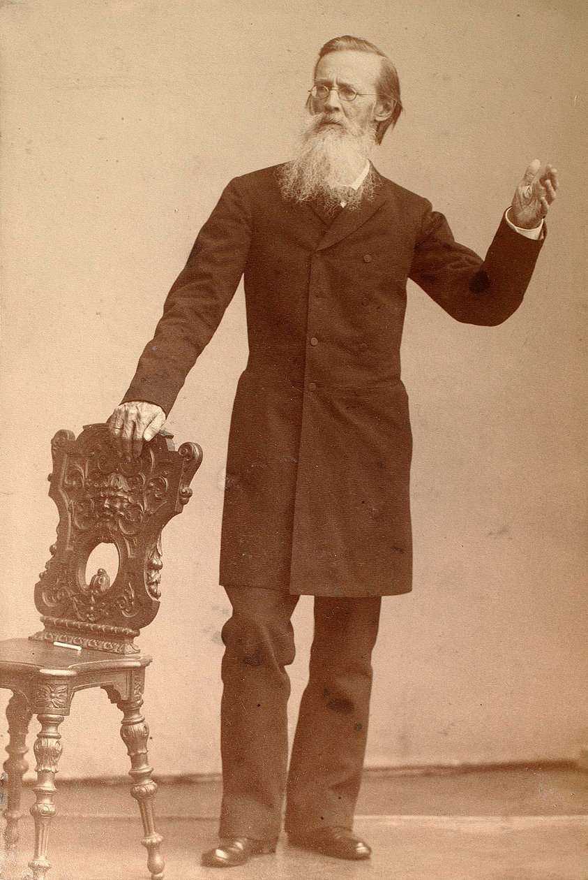 Apollon Maykow , ruský básník, konec 19. století od Andrei Deniere