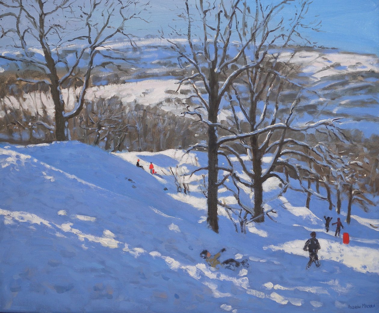 Black Rocks, Derbyshire, 2009 od Andrew Macara