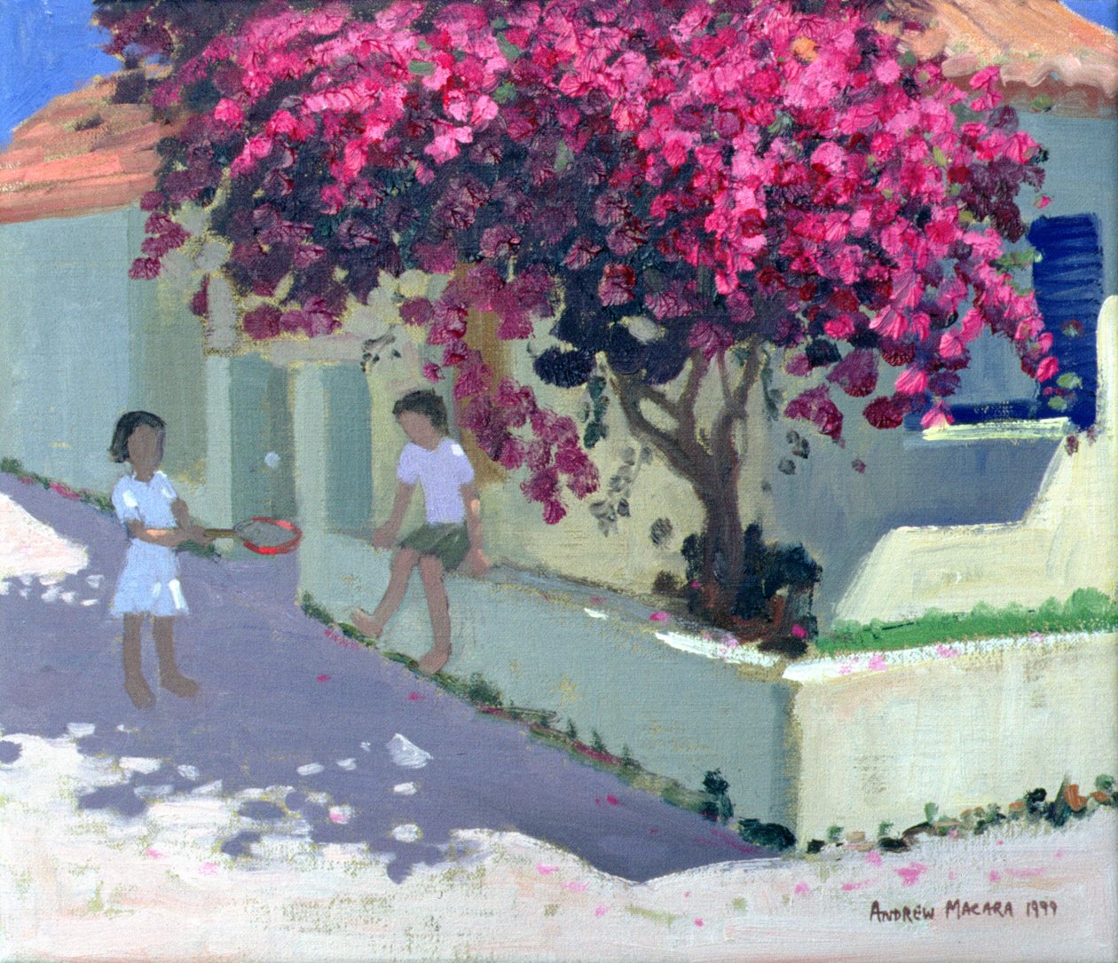 Bougainvillaea, Zante, 1999 od Andrew Macara