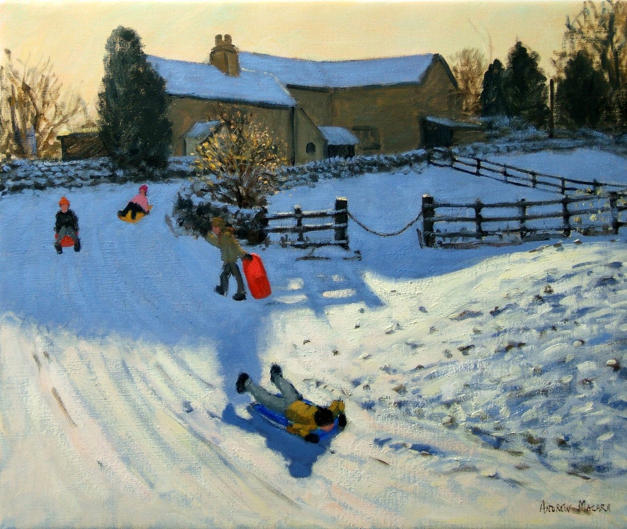 Dětské sáňkování, Monyash, Derbyshire od Andrew Macara
