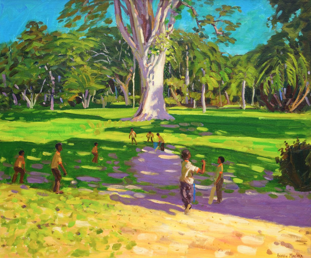 Kriketový zápas, Botanická zahrada, Dominika, Grenadiny. 2011, od Andrew Macara