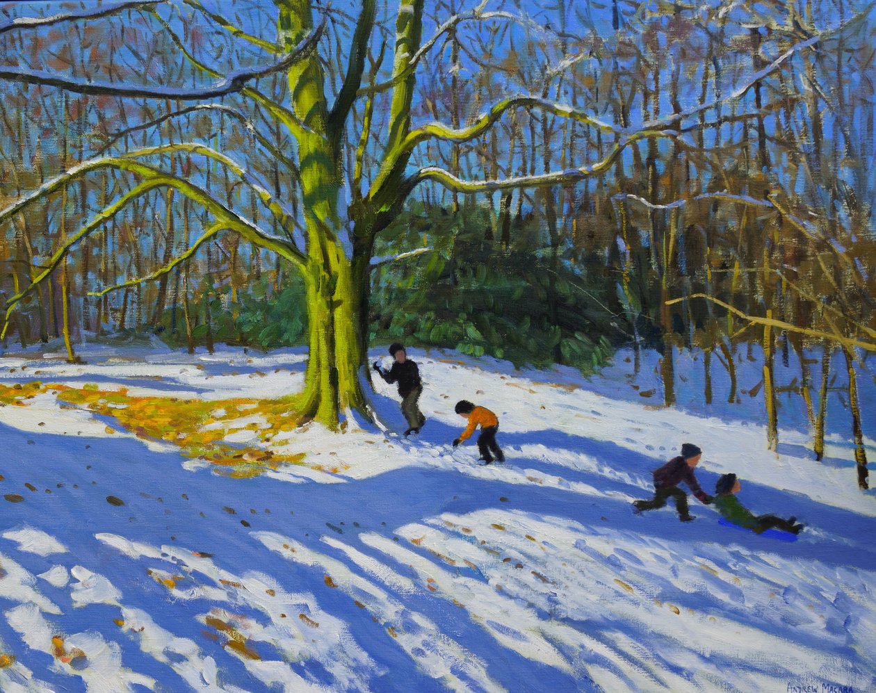 Detail Top of Allestree Park, 2014, olej na plátně od Andrew Macara