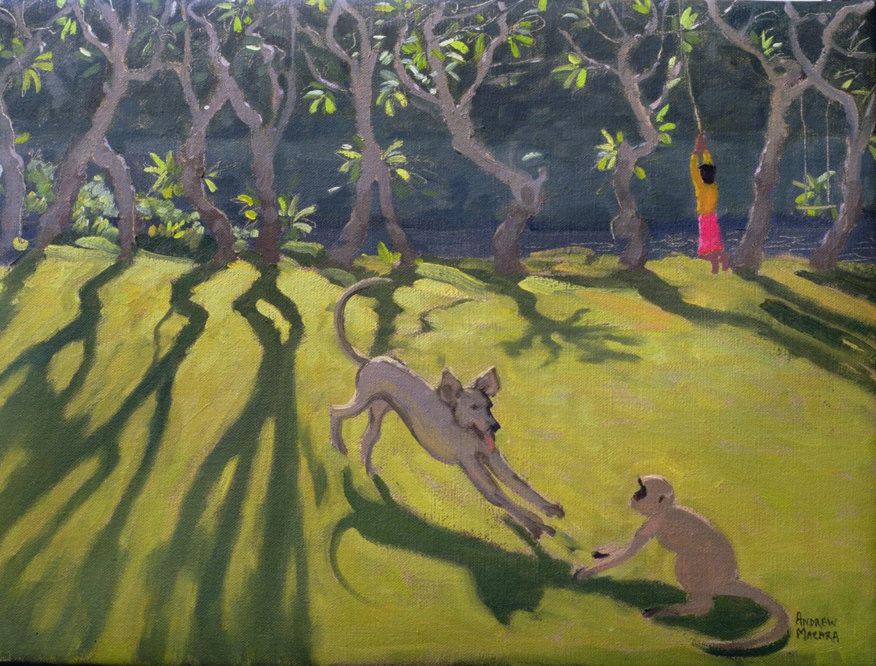 Pes a opice, Srí Lanka,1998 od Andrew Macara
