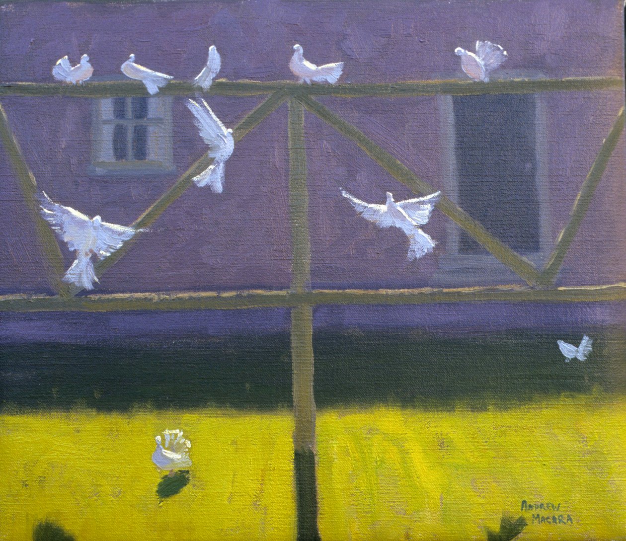 Holubice, 1999 od Andrew Macara