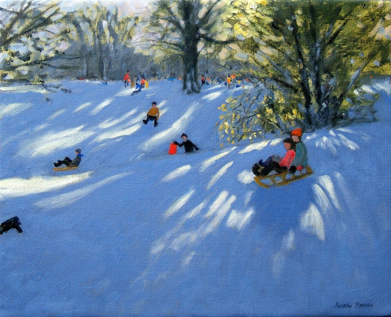 Ranní sníh, Darley Park, Derby od Andrew Macara