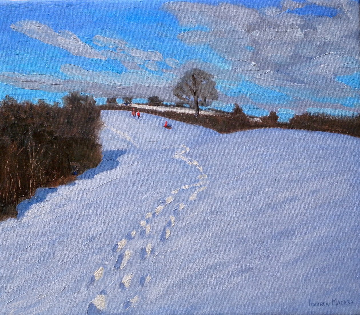 Stopy ve sněhu, 2009 od Andrew Macara
