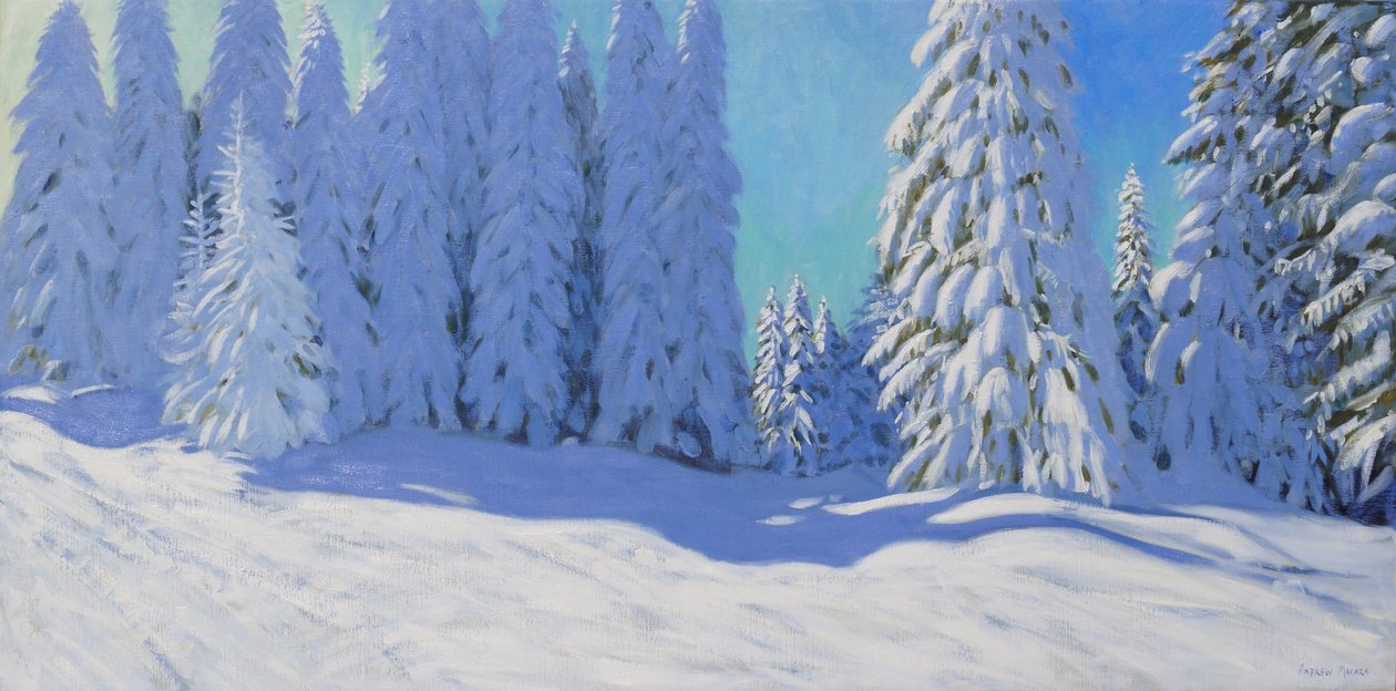 Čerstvý sníh, Morzine, Francie, 2015, od Andrew Macara