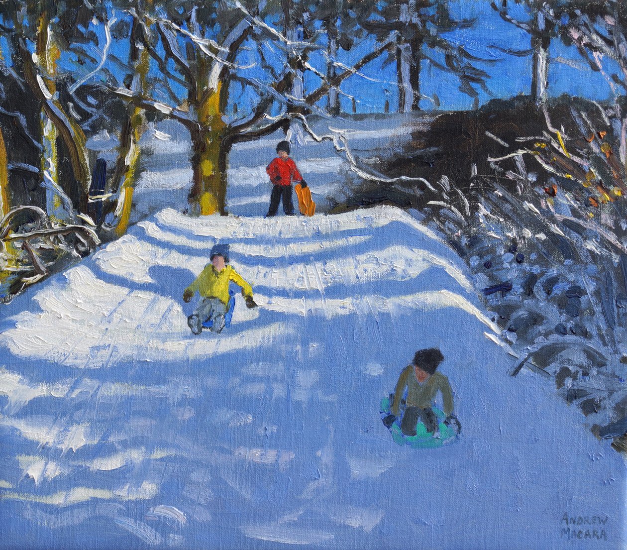 Zábava na sněhu, Wash Green, Derbyshire, 2014, od Andrew Macara