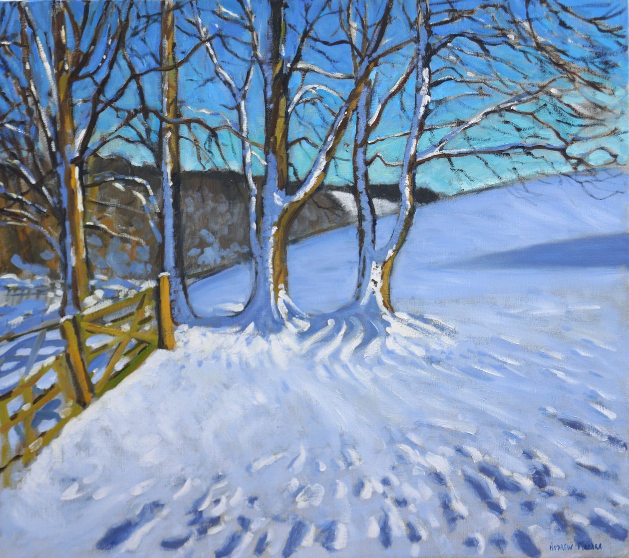 Brána a stromy, zima, Dam Lane, Derbyshire, 2013, od Andrew Macara