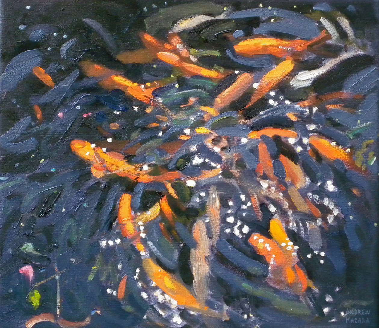 Zlatá rybka, 2010 od Andrew Macara