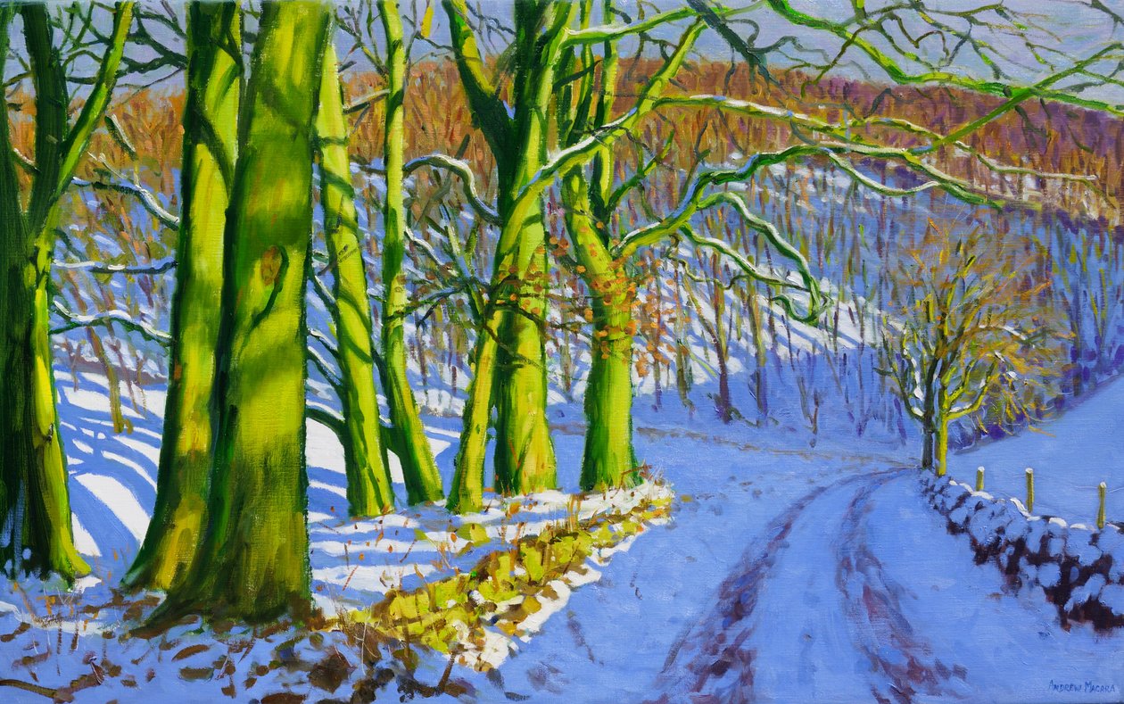 Green Trees,Winter;Dam Lane;Derbyshire, od Andrew Macara