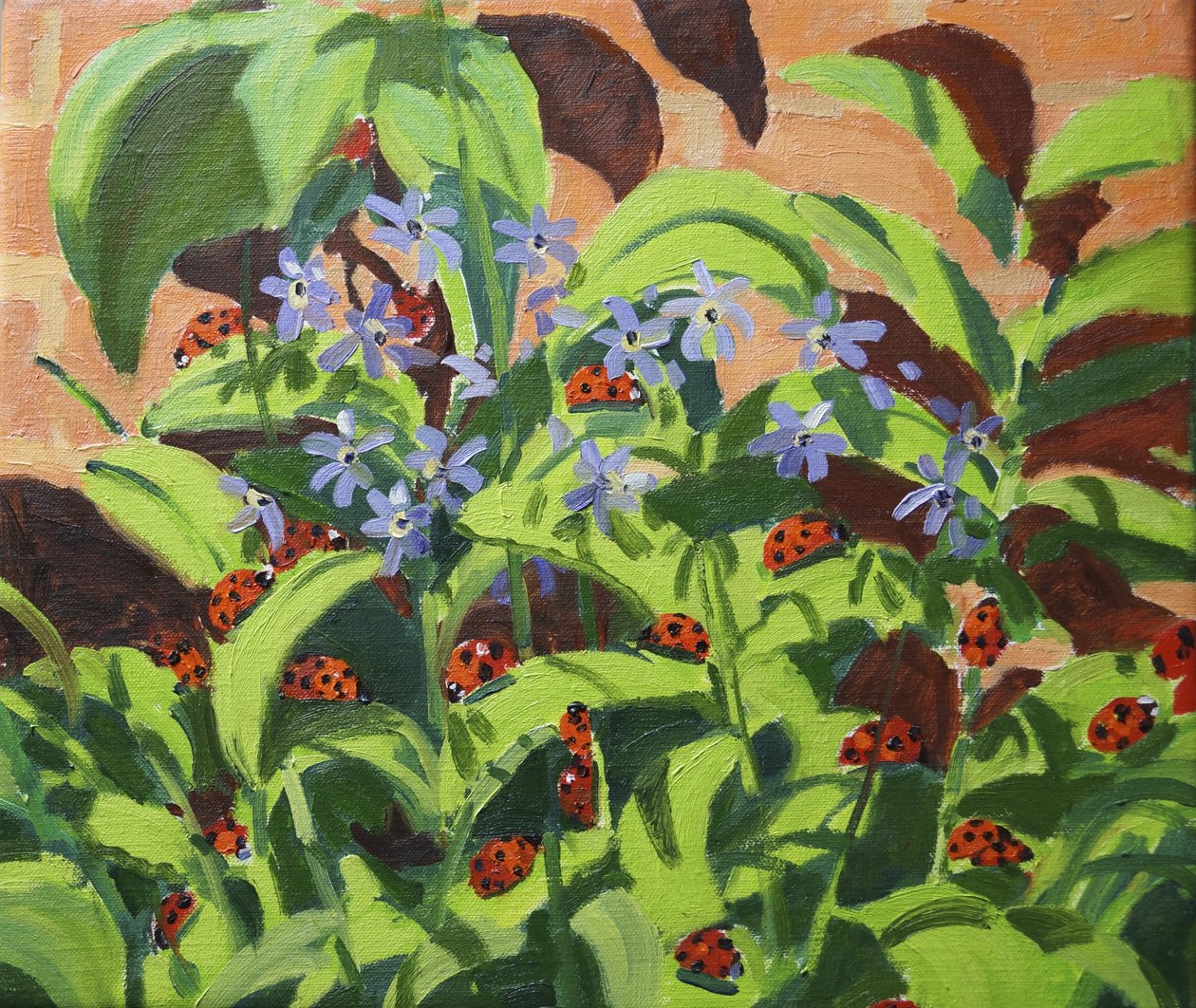 Beruška, 2013 od Andrew Macara