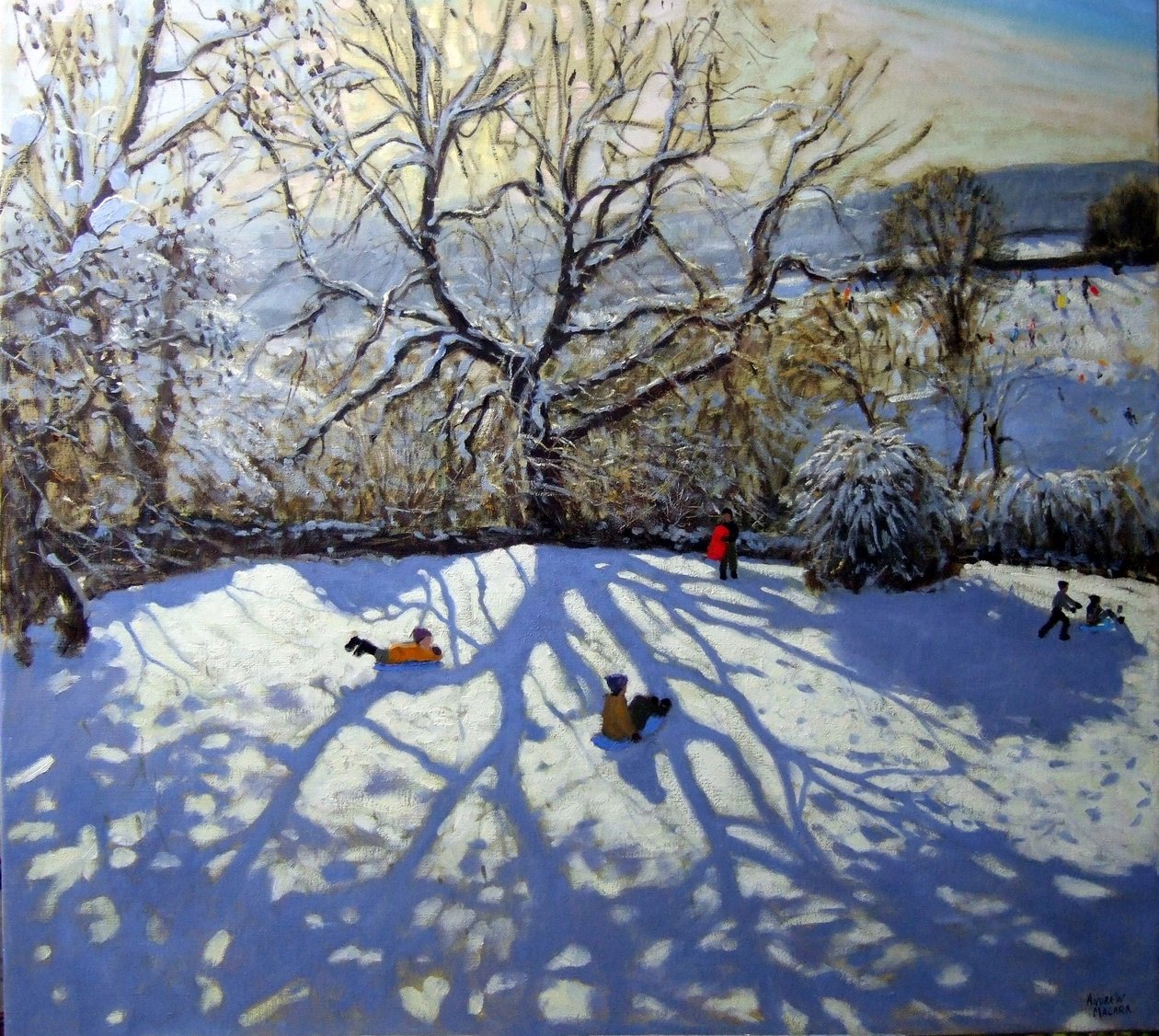 Velký strom a tobogány, Youlgreave, Derbyshire od Andrew Macara
