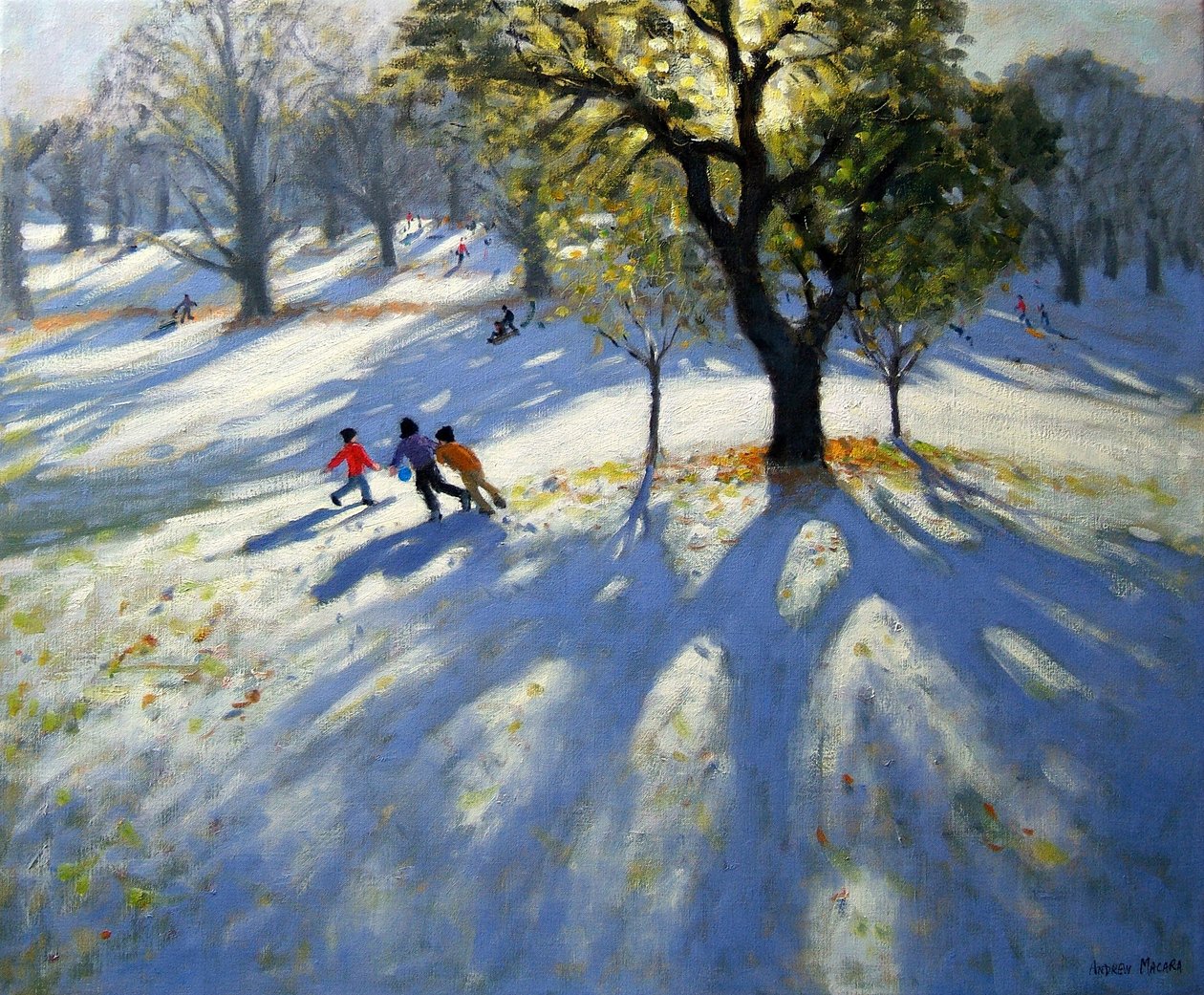 Markeaton Park, ranní sníh od Andrew Macara