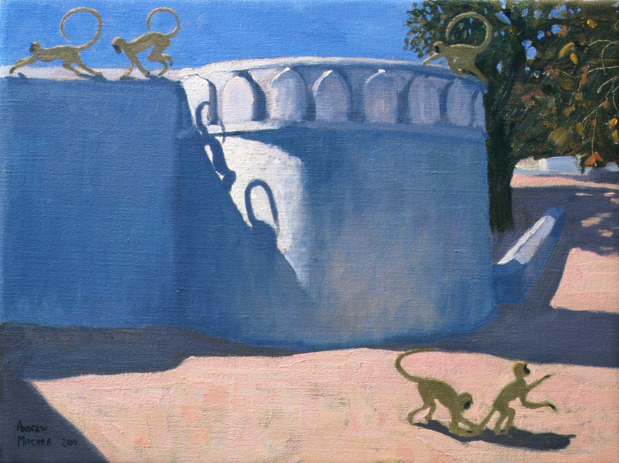 Opičí chrám, Indie, 2000 od Andrew Macara