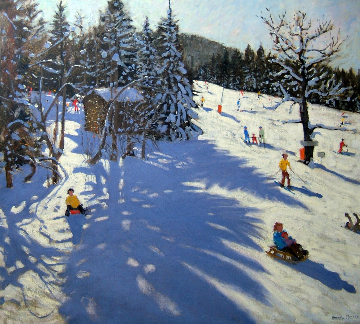 Horská chata, Morzine od Andrew Macara