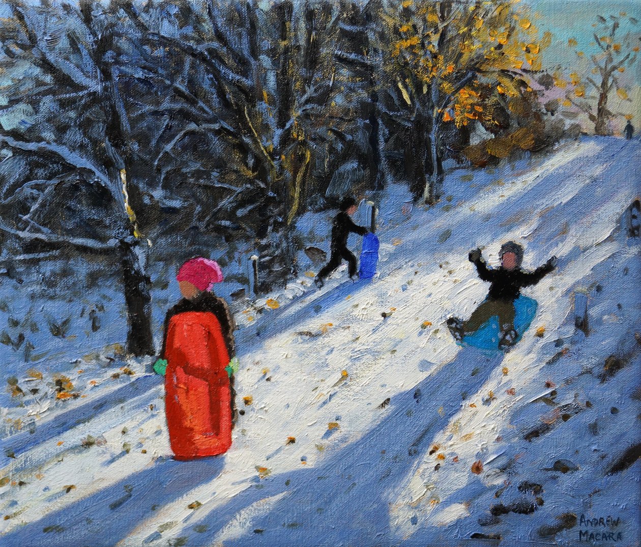 Červené sáně, Allestree Park Derby. 2014 od Andrew Macara