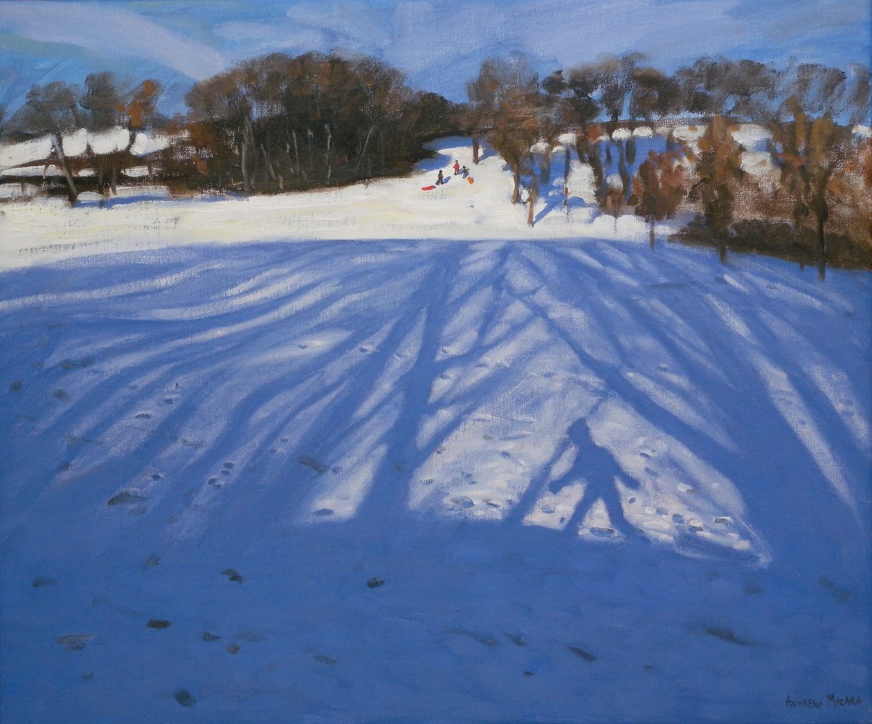 Stín sáněk, 2008 od Andrew Macara