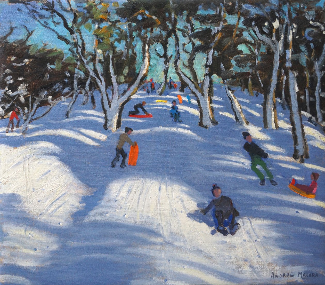 Sáňkování na Ladmanlow, 2012 od Andrew Macara