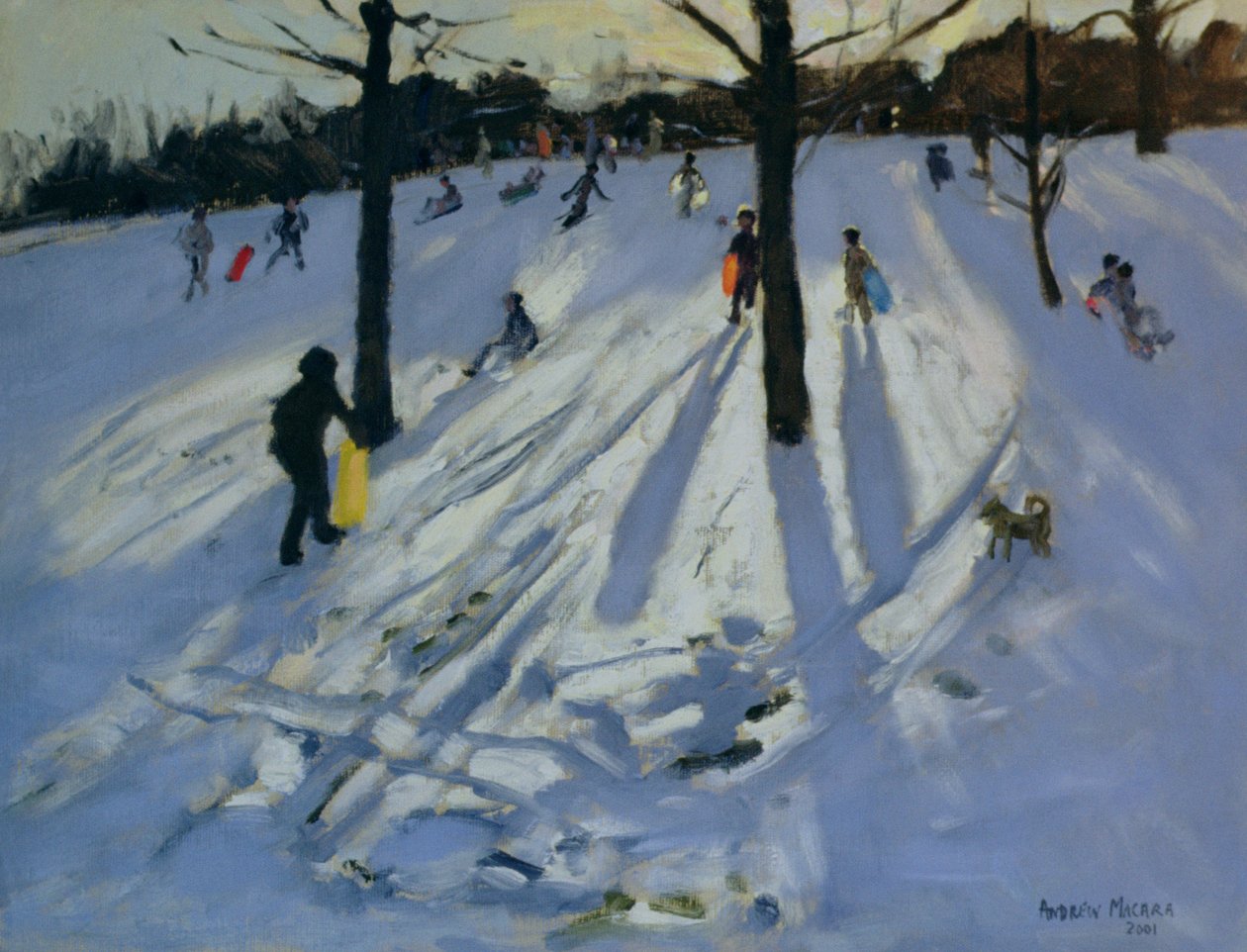 Sníh, Rykneld Park, Derby, 2001 od Andrew Macara