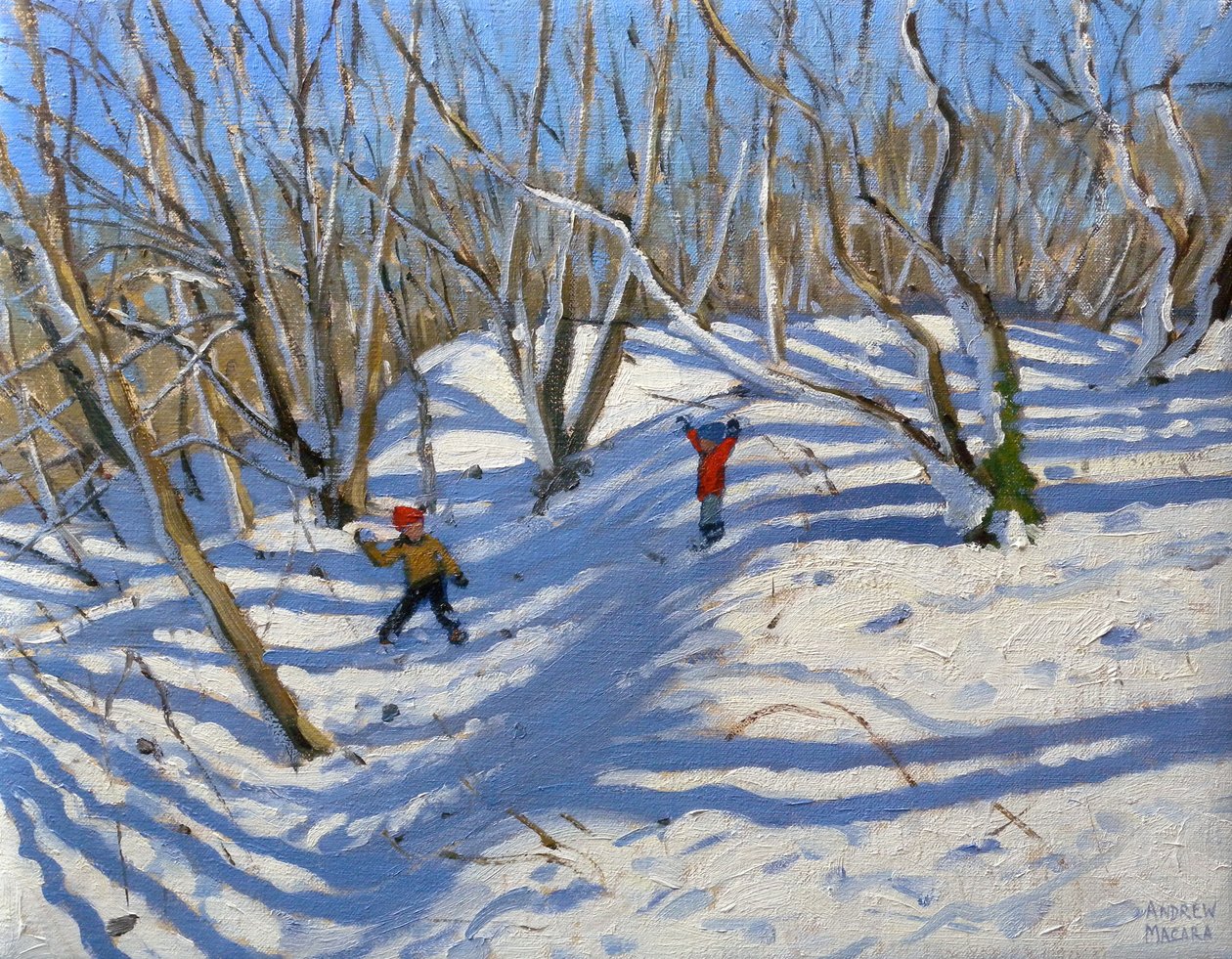 Spring Snow, Newhaven Derbyshire, 2008 od Andrew Macara