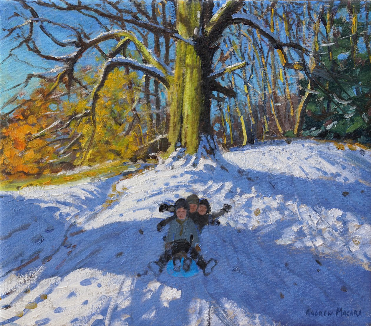 Tři na saních,Allestree Park Derby .2014, od Andrew Macara
