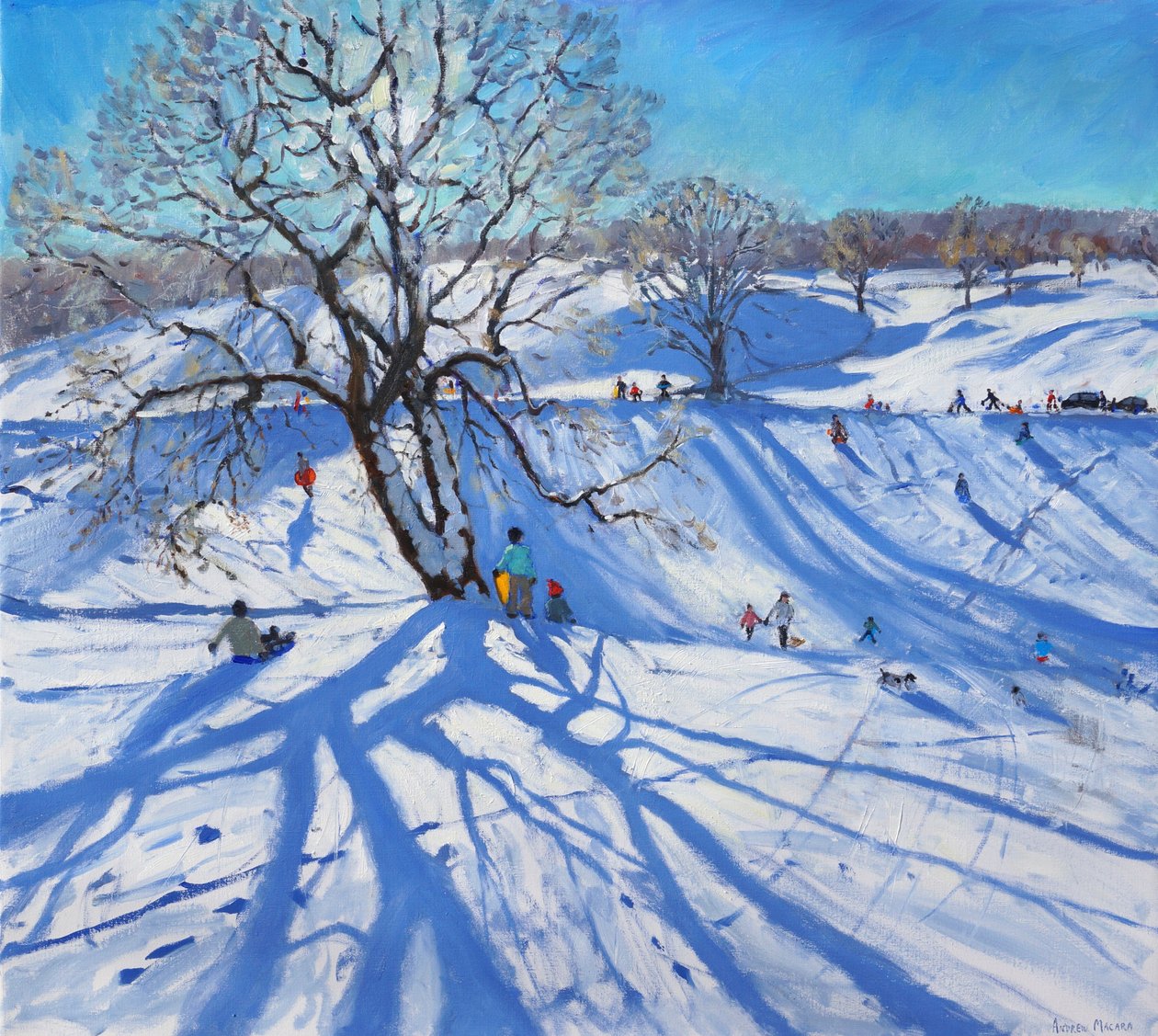 Tobogány, Chatsworth, 2012 od Andrew Macara