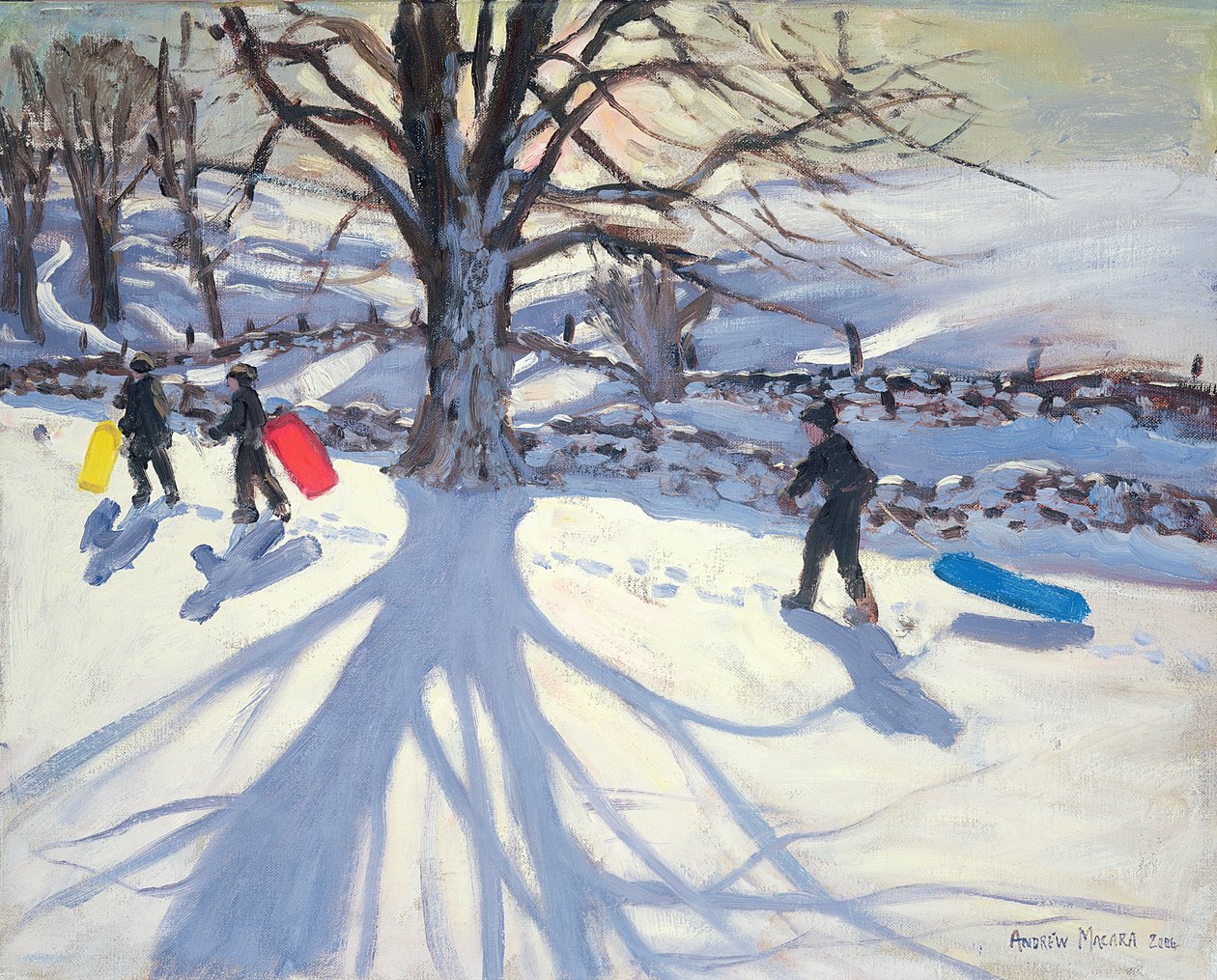 Sáňkování, poblíž Youlgreave, 2004 od Andrew Macara